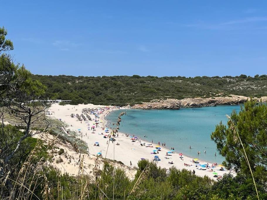 Precioso Apartamento En Primera Linea De Mar Son Parc Bagian luar foto